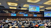 МОТ передает разрешение спора о праве на забастовку в Международный суд ООН